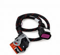 Raptor Programming Harness for RCM112